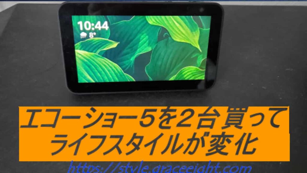 エコーショーを２台買ってライフスタイルが変化