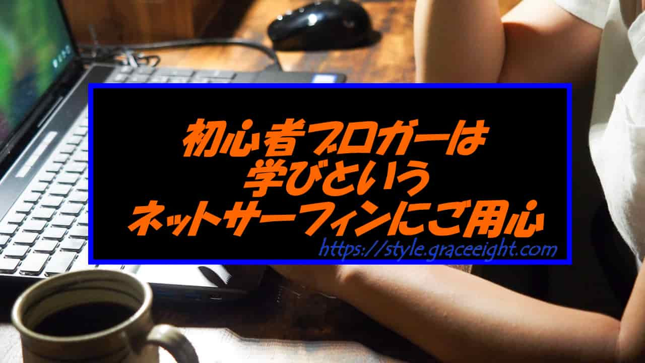 初心者ブロガーは学びというネットサーフィンにご用心